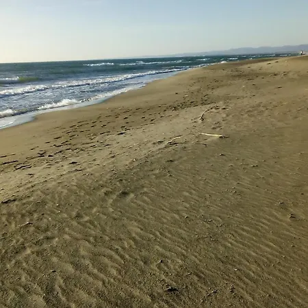 La Casetta Lejlighed Fregenae